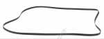 Poly v belt - C00375153 481281728435 Poly-v-belt [Whirlpool Indesit]