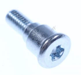 Hisense Gorenje Screw - 888030 Hinge Screw