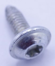 Screw - 10029458 Screw [Bosch Siemens]