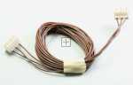 Harness - 00622316 Cable Harness [Bosch Siemens]