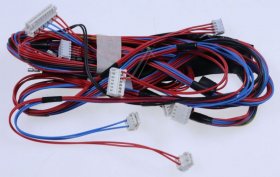 Harness - 8070617066 Harness Complete Door [Electrolux Aeg]