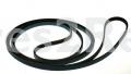 Ipso Poly-v-belt - Multigrip Belt 511255 H8 4 - D511255P
